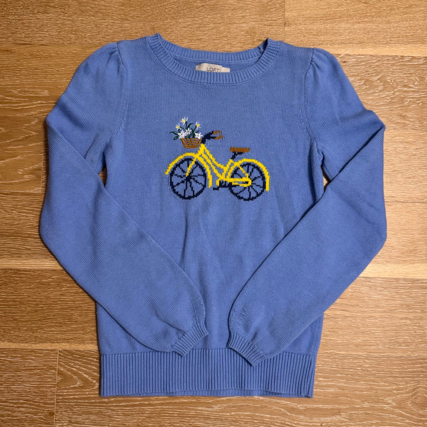 Blue Bicycle Sweater